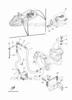 HULL & DECK pour Yamaha FB1800-M de 2013