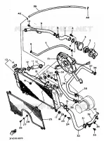 RADIATEUR / DURITES pour Yamaha FZR750R de 1989