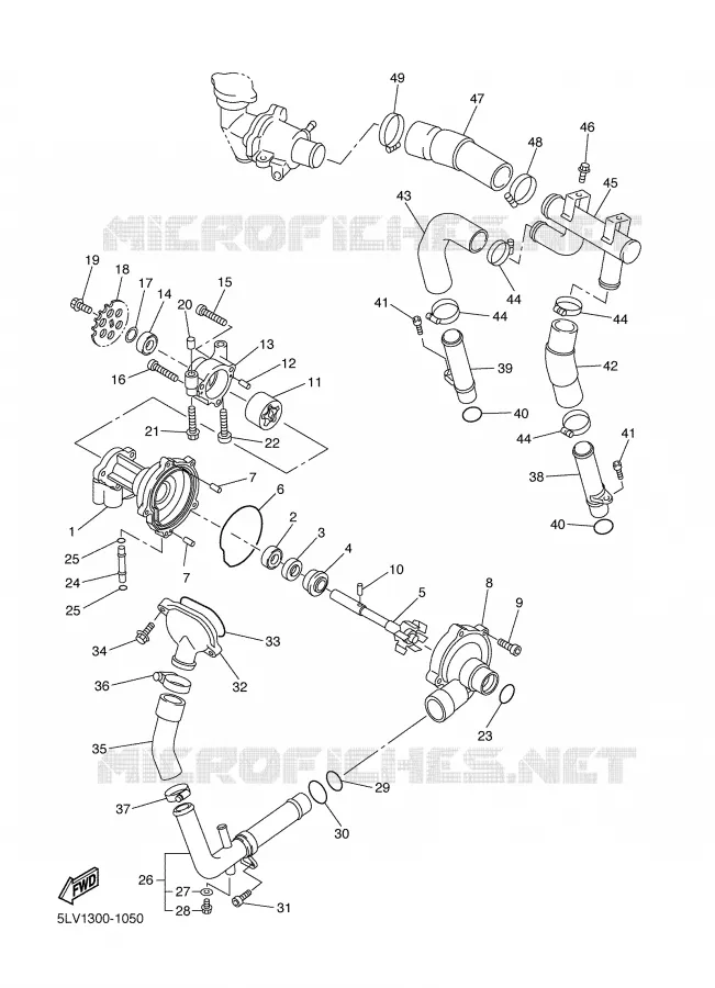 POMPE A EAU / DURITES Yamaha MOTO 1000 2001 FAZER  FZS1000
