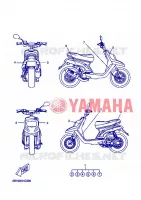 EMBLEME pour Yamaha BW'S 50 NAKED de 2008
