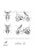 EMBLEME pour Yamaha YQ50 de 2009