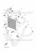 RADIATEUR / DURITES pour Yamaha YQ50L de 2009