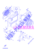 RADIATEUR / DURITES pour Yamaha MBK OVETTO 50 4 TEMPS de 2012