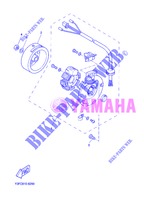 ALLUMAGE pour Yamaha CW50 de 2013