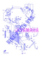 RADIATEUR / DURITES pour Yamaha FZ8N de 2013