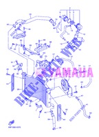 RADIATEUR / DURITES pour Yamaha FZ8N de 2013