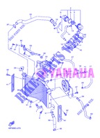 RADIATEUR / DURITES pour Yamaha FZ8S de 2013