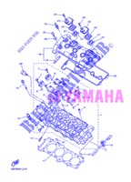 CULASSE pour Yamaha FZ8SA de 2013