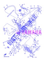 RADIATEUR / DURITES pour Yamaha XJ6NA de 2013