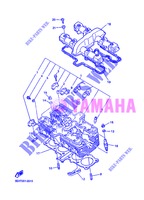 CULASSE pour Yamaha XJR1300 de 2013