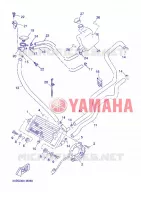 RADIATEUR / DURITES pour Yamaha YP125RA de 2013