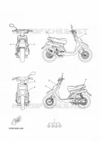 EMBLEME pour Yamaha BW'S 50 de 2012