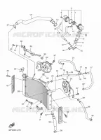 RADIATEUR / DURITES pour Yamaha FZ8S de 2015