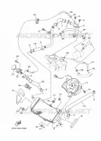 RADIATEUR / DURITES pour Yamaha XP500A de 2015