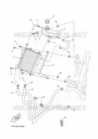 RADIATEUR / DURITES pour Yamaha NITRO 50 NAKED de 2016
