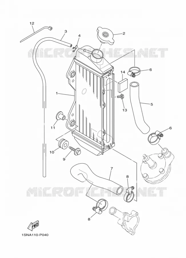 RADIATEUR / DURITES Yamaha MOTO 85 2017 YZ  YZ85H
