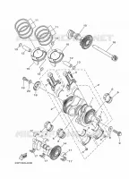 VILEBREQUIN / PISTON pour Yamaha XT1200Z de 2015