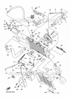 RADIATEUR / DURITES pour Yamaha DIVERSION 600 de 2016