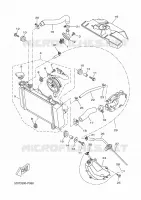 RADIATEUR / DURITES pour Yamaha MT 125 ABS de 2016