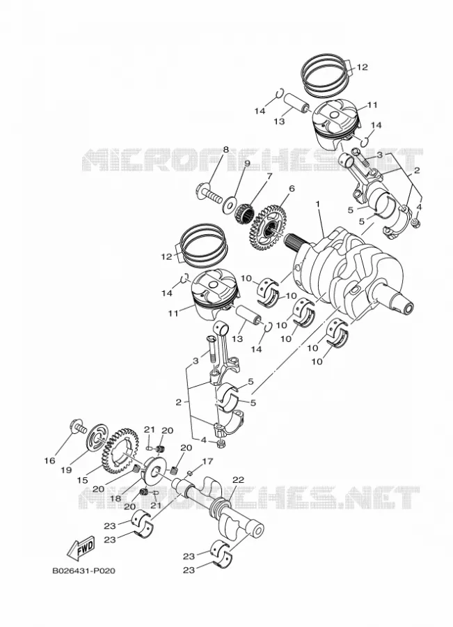 VILEBREQUIN / PISTON Yamaha MOTO 300 2016 R3  YZF-R3A