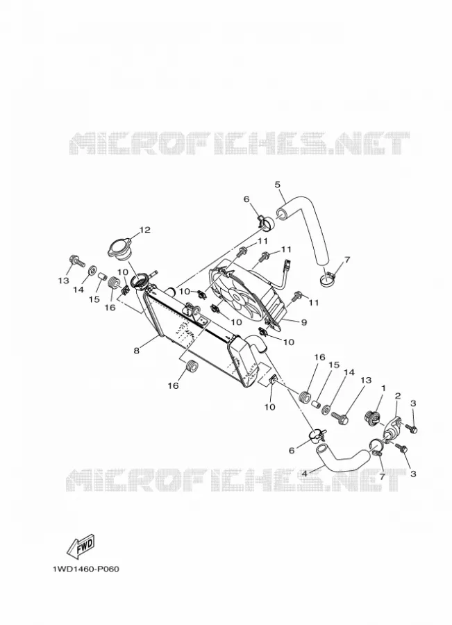 RADIATEUR / DURITES Yamaha MOTO 300 2018 R3  YZF-R3A