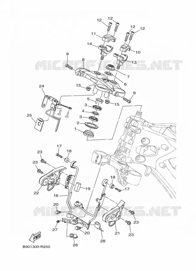 DIRECTION Yamaha MOTO 900 2016 XSR  MTM850
