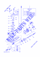 LOWER CASING & DRIVE 1 pour Yamaha F2.5B Manual Starter, Tiller Handle, Manual Tilt, Shaft 20