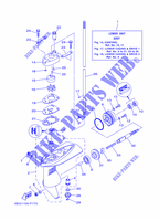 LOWER CASING & DRIVE 1 pour Yamaha F2.5B Manual Starter, Tiller Handle, Manual Tilt, Shaft 15