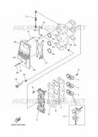 ADMISSION pour Yamaha E60H Enduro, Manual Starter, Tiller Handle, Hydro Trim & Tilt, Pre-Mixing, Shaft 20