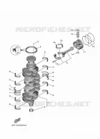 VILEBREQUIN / PISTON pour Yamaha F80D Electric Starter, Remote Control, Power Trim & Tilt, Shaft 20