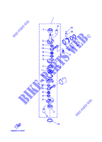 VILEBREQUIN / PISTON pour Yamaha 6C Manual Starter, Tiller Handle, Manual Tilt, Pre-Mixing, Shaft 15