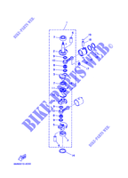 VILEBREQUIN / PISTON pour Yamaha 6C Manual Starter, Tiller Handle, Manual Tilt, Pre-Mixing, Shaft 20