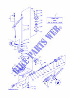 CARTER INFERIEUR ET TRANSMISSION 1 pour Yamaha 6C Manual Starter, Tiller Handle, Manual Tilt, Pre-Mixing, Shaft 20
