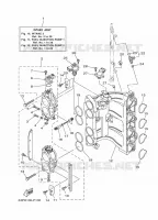 ADMISSION 3 pour Yamaha F150F Electric Starter, Remote Control, Power Trim & Tilt, Shaft 25