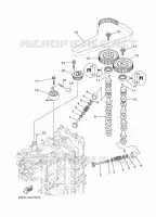 SOUPAPE pour Yamaha F150F Electric Starter, Remote Control, Power Trim & Tilt, Shaft 25
