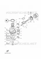 VILEBREQUIN / PISTON pour Yamaha F150G Electric Starter, Remote Control, Power Trim & Tilt, Shaft 25
