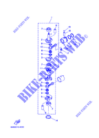 VILEBREQUIN / PISTON pour Yamaha 6D Manual Start, Tiller Handle, Manual Tilt, Shaft 15