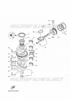 VILEBREQUIN / PISTON pour Yamaha F175C Electric Starter, Remote Control, Power Trim & Tilt, Shaft 20