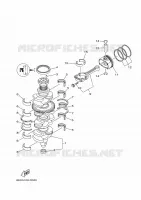 VILEBREQUIN / PISTON pour Yamaha F200F Electric Starter, Remote Control, Power Trim & Tilt, Shaft 20