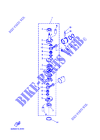 VILEBREQUIN / PISTON pour Yamaha 8S Manual Starter, Tiller Handle, Manual Tilt, Pre-Mixing, Shaft 15