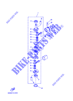 VILEBREQUIN / PISTON pour Yamaha 8C Manual Starter, Tiller Handle, Manual Tilt, Pre-Mixing de 2008