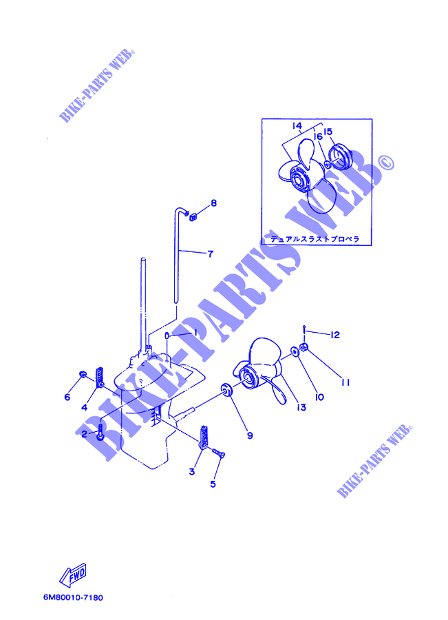 BOITIER D'HELICE ET TRANSMISSION 2 pour Yamaha 8C Manual Starter, Tiller Handle, Manual Tilt, Pre-Mixing de 2008