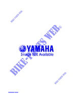 ALTERNATIVE (EMBRAYAGE) pour Yamaha OVATION LE de 1996