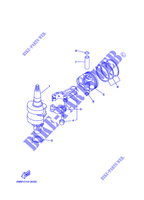 VILEBREQUIN / PISTON pour Yamaha F2.5A Manual Starter, Tiller Handle, Manual Tilt, Shaft 20