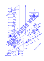 BOITIER D'HELICE ET TRANSMISSION 1 pour Yamaha F2.5A Manual Starter, Tiller Handle, Manual  Tilt, Shaft 20