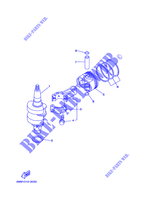 VILEBREQUIN / PISTON pour Yamaha F2.5A Manual Starter, Tiller Handle, Manual  Tilt, Shaft 20