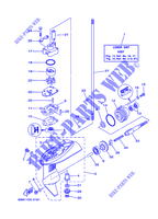 BOITIER D'HELICE ET TRANSMISSION 1 pour Yamaha F2.5A Manual Starter, Tiller Handle, Manual Tilt, Shaft 15