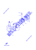 VILEBREQUIN / PISTON pour Yamaha F2.5A Manual Starter, Tiller Handle, Manual Tilt, Shaft 15