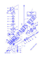 BOITIER D'HELICE ET TRANSMISSION 1 pour Yamaha F2.5A 4 Stroke, Manual Starter, Tiller Handle, Manual Tilt de 2008