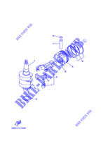 VILEBREQUIN / PISTON pour Yamaha F2.5M Manual Starter, Tiller Handle, Manual Tilt, Shaft 15